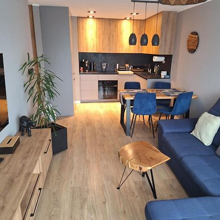 Komfortowy Apartament Dla 7 Osob Ch Arena, Prywatny Parking グリヴィツェ エクステリア 写真